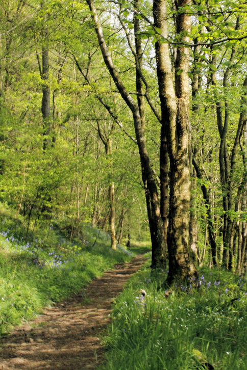 Abney Clough Abney Clough